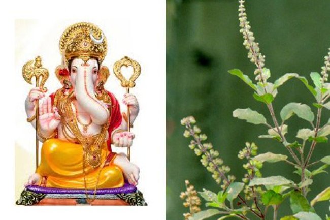 भगवान गणेश को क्यों नहीं चढ़ाते तुलसी ?