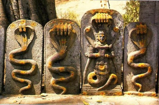 कैसे हुई नागो की उत्पत्ति जानिए पुराणो में वर्णित नागो के बारे में