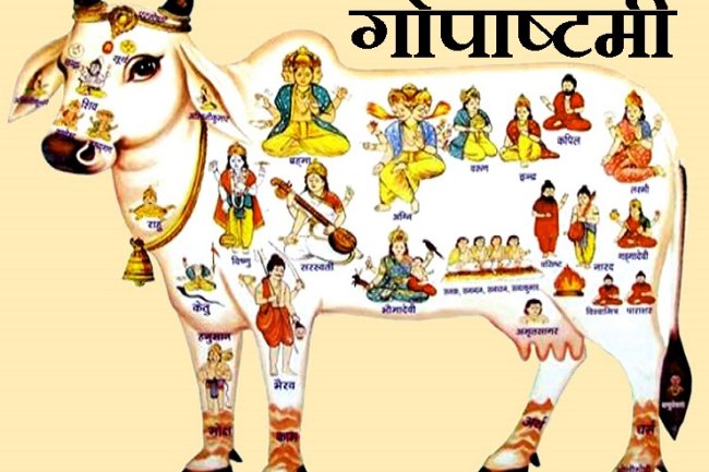 गोपाष्टमी पूजा