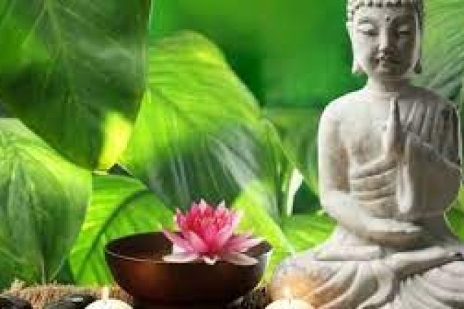 जीवन में सुख समृद्धि चाहते हैं तो अपनाइए ये आसान फेंगशुई टिप्स, चमक उठेगी आपकी किस्मत