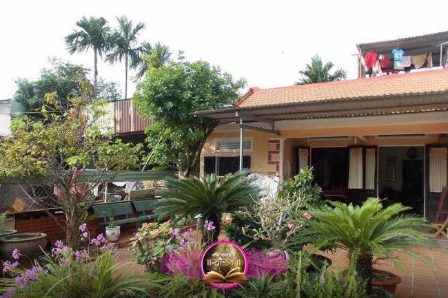 घर में कौन से पौधे लगाएं और कौन से नहीं