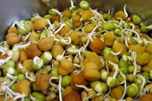 दूध से है चिढ़ तो ऐसे करें कैल्शियम की कमी दूर