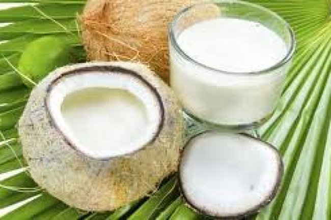 नारियल के दूध के फायदे, उपयोग और नुकसान