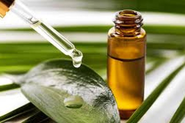 टी-ट्री (Tea Tree) ऑयल के फायदे एवं नुकसान