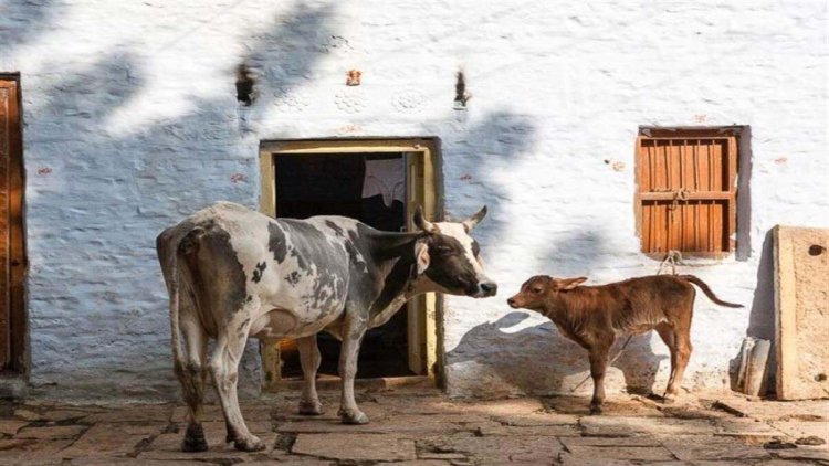 ये 7 संकेत बताते हैं कि अब आप भी होने वाले हैं जल्दी अमीर