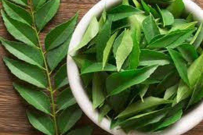करी पत्ता (कड़ी पत्ता) के फायदे