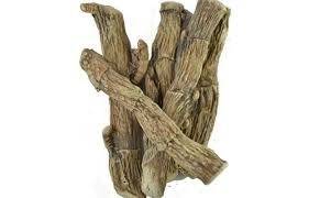 वेखंड का सेवन करने के फायदे क्या है