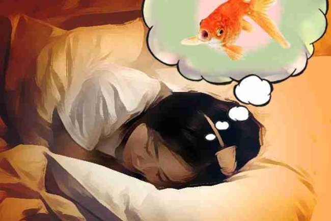 मछली से जुड़े सपनों का मतलब: क्या आपके सपने में मछली आई है?