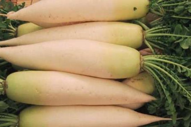 ताजी पत्तेदार मूली के 13 अनमोल फायदे